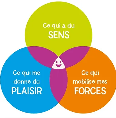 Déroulé des séances